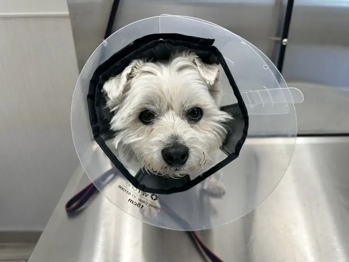 Green Acres Veterinary Center Picture 4