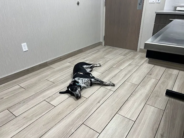 Green Acres Veterinary Center Picture 9