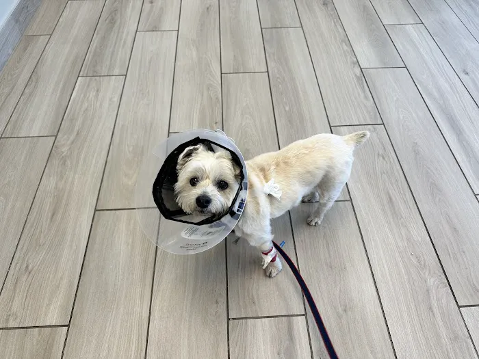 Green Acres Veterinary Center Picture 5