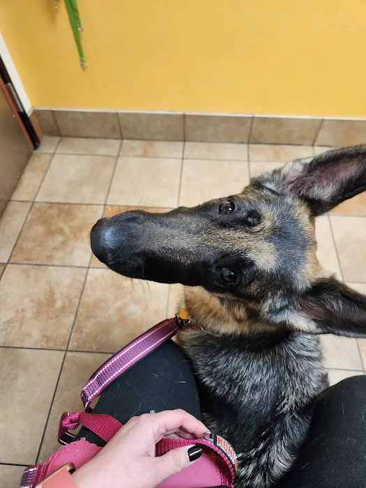 Banfield Pet Hospital Picture 4