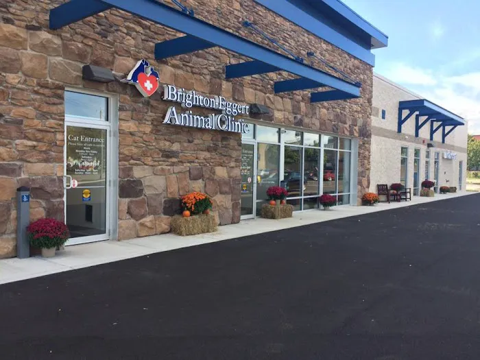 Brighton Eggert Animal Clinic and Pet Resort Picture 3