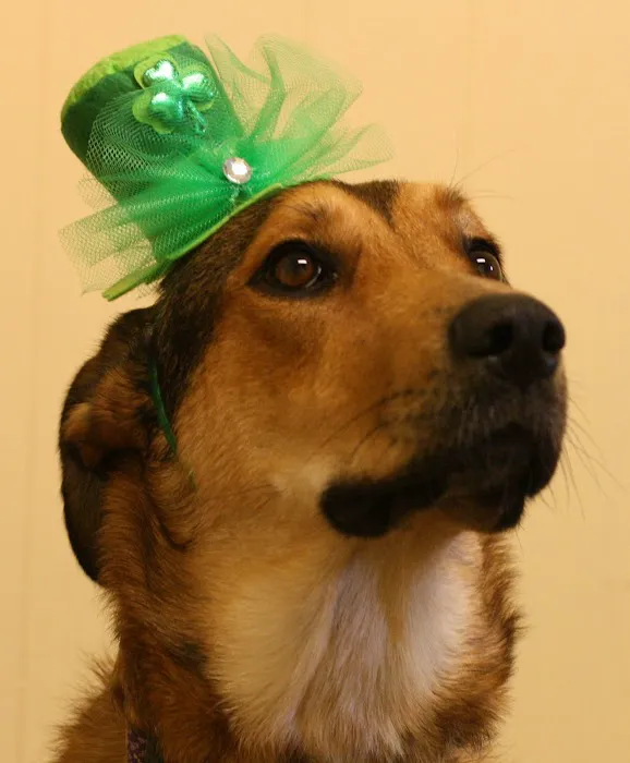 Warren Veterinary Hospital Picture 1