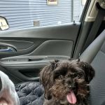 Kinzua Veterinary Clinic