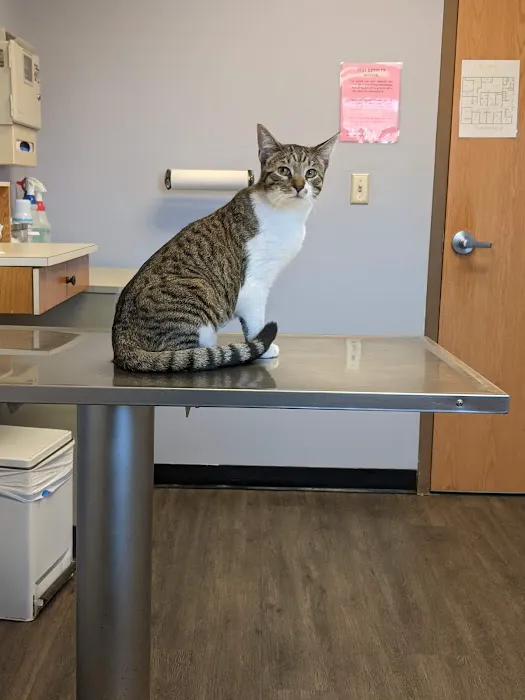 Village Veterinary Clinic PC Picture 2