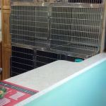 Arkwright Veterinary Services