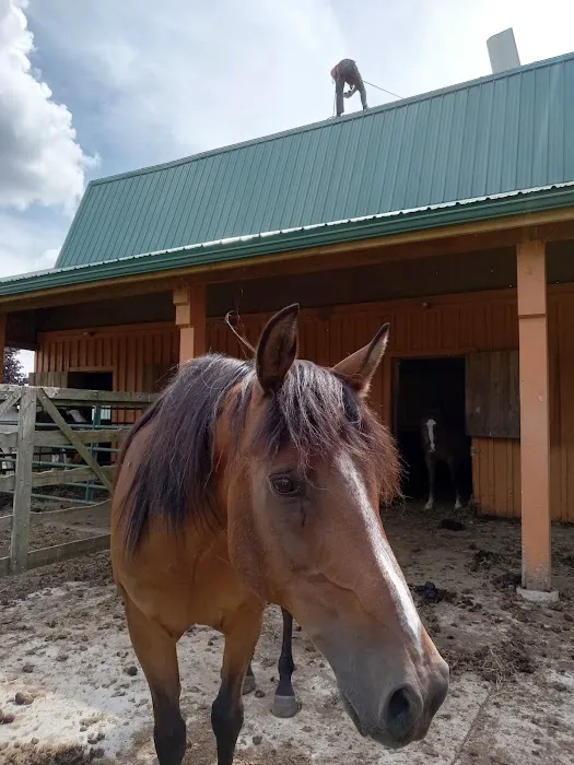 Tri County Veterinary Clinic Picture 7