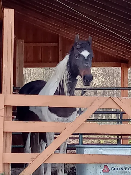 Tri County Veterinary Clinic Picture 5