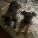 Tri County Veterinary Clinic