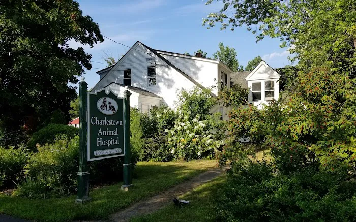 Charlestown Animal Hospital Picture 2