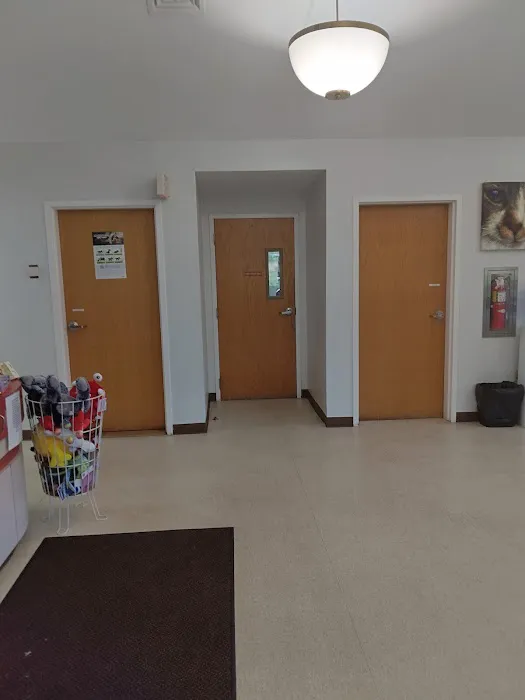 Walpole Veterinary Hospital Picture 7