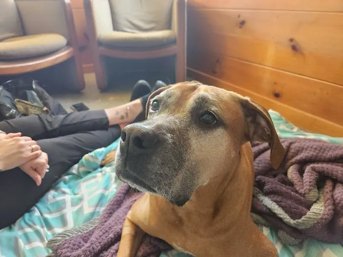 VT NH Veterinary Clinic Picture 4