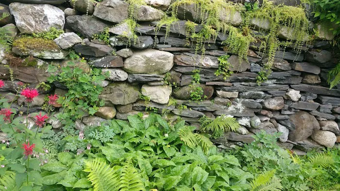 VT NH Veterinary Clinic Picture 5