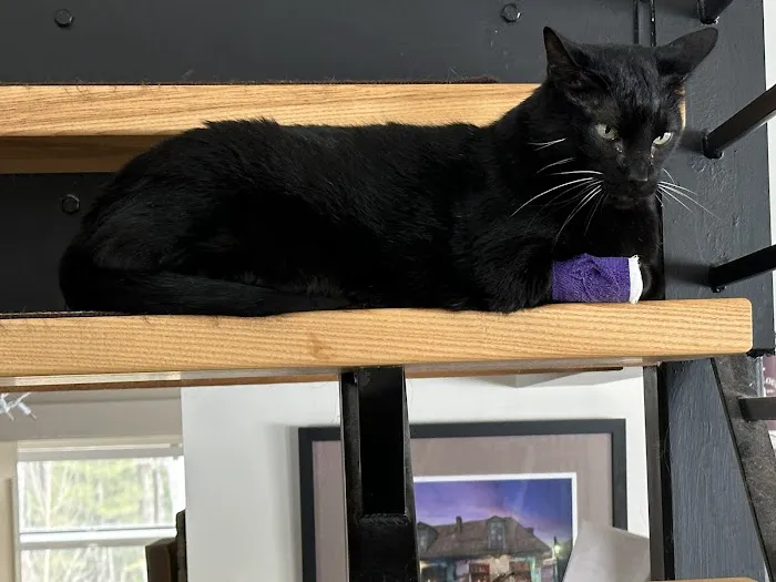 Brattleboro Veterinary Clinic Picture 8