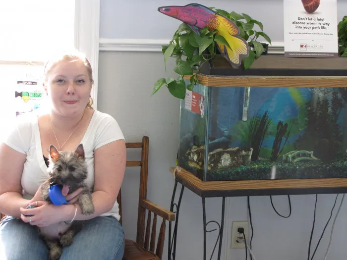 VCA Windham Animal Hospital Picture 2