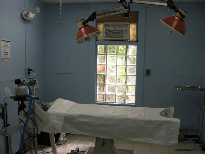 VCA Windham Animal Hospital Picture 5
