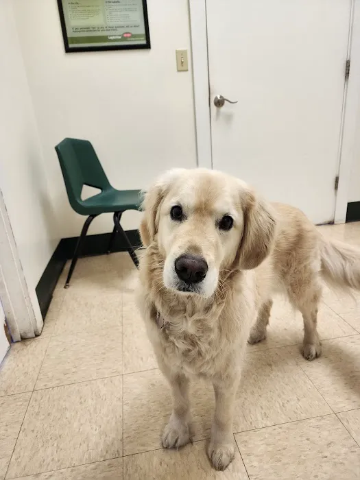 Westside Animal Hospital Picture 3