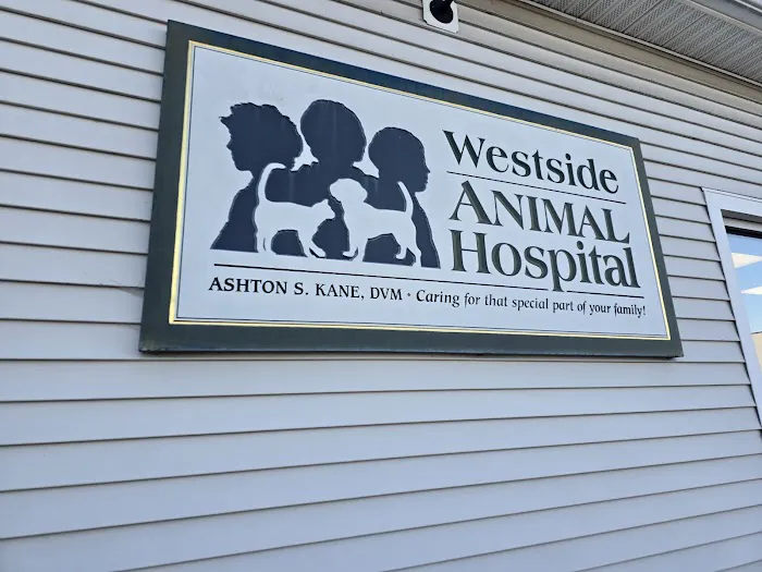 Westside Animal Hospital Picture 6
