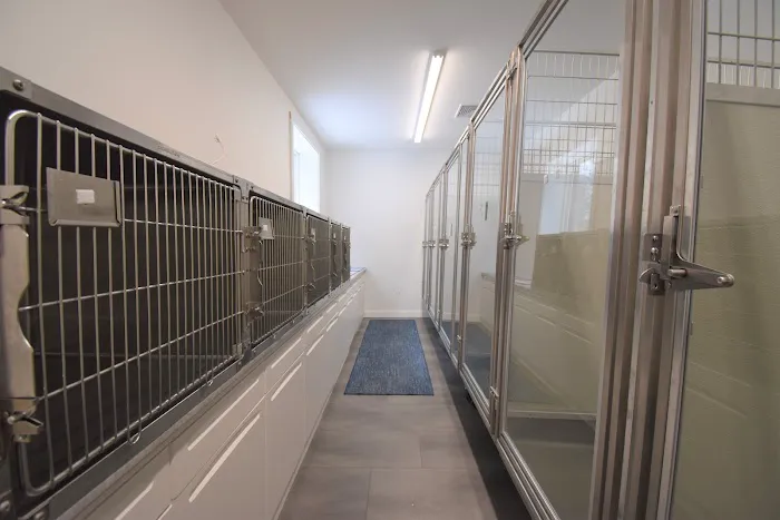 Court Street Veterinary Hospital Picture 5