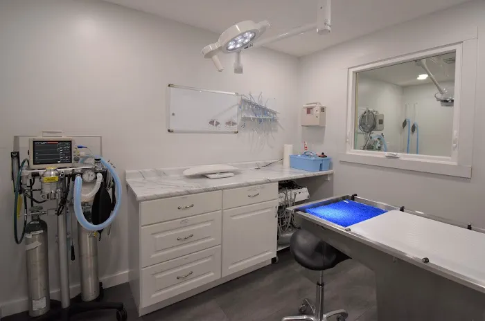 Court Street Veterinary Hospital Picture 1