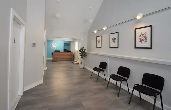 Court Street Veterinary Hospital Picture 4