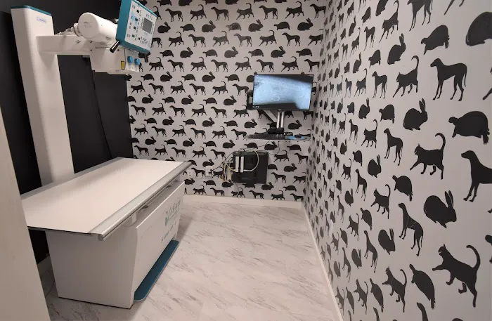 Court Street Veterinary Hospital Picture 6