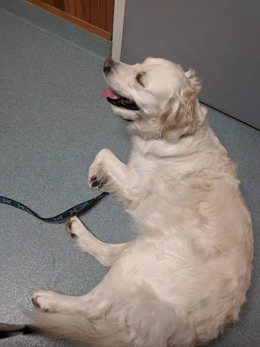 Cheshire Animal Hospital Picture 10