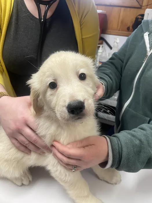 Wendell Veterinary Clinic Picture 6