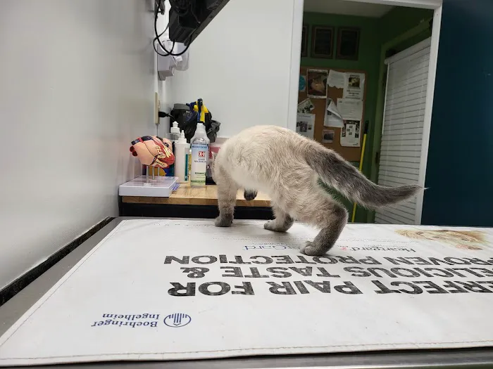 Eastwood Animal Clinic Picture 3