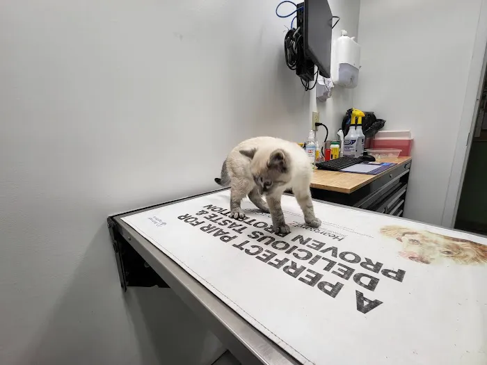 Eastwood Animal Clinic Picture 5