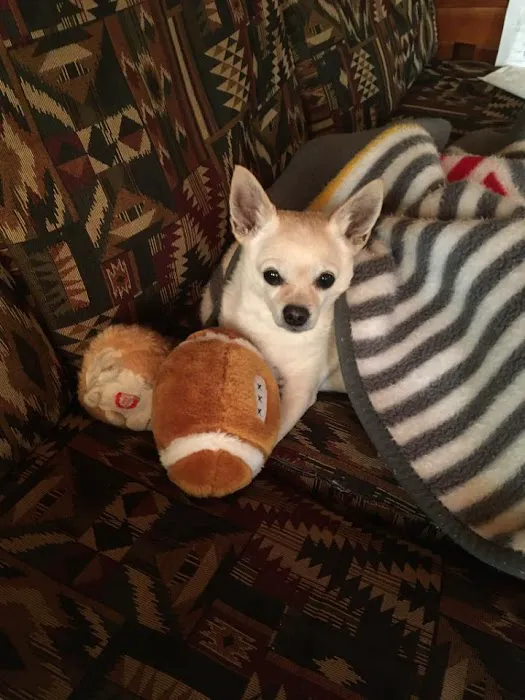 Eastwood Animal Clinic Picture 10
