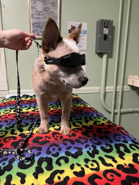 All Points Animal Care Picture 4