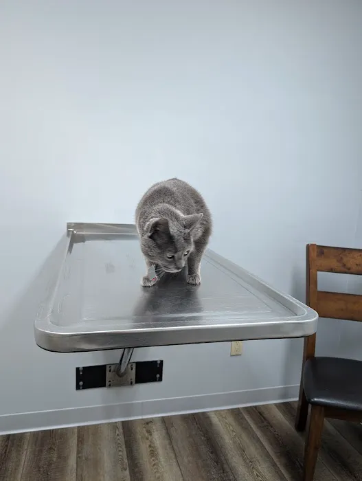 Center Rutland Animal Hospital Picture 10