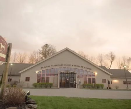 Rutland Veterinary Clinic & Surgical Center