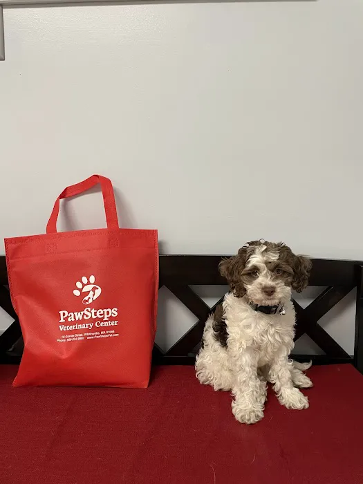 PawSteps Veterinary Center Picture 9
