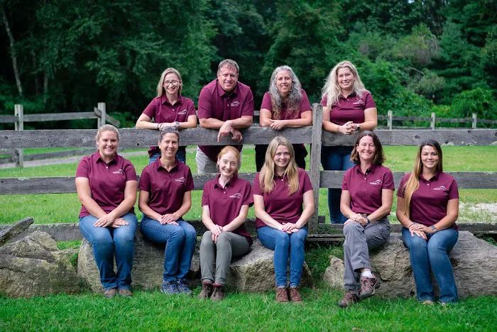 Massachusetts Equine Clinic Picture 4