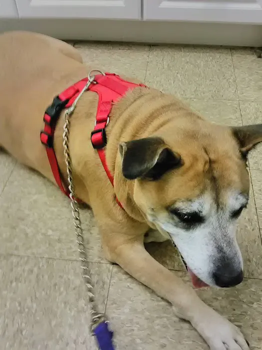 Mendon Animal Clinic Picture 6