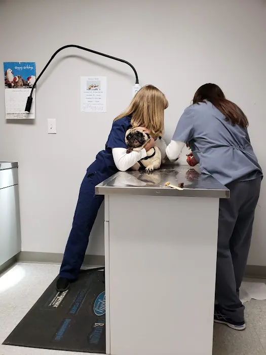 North Smithfield Animal Hospital Picture 10