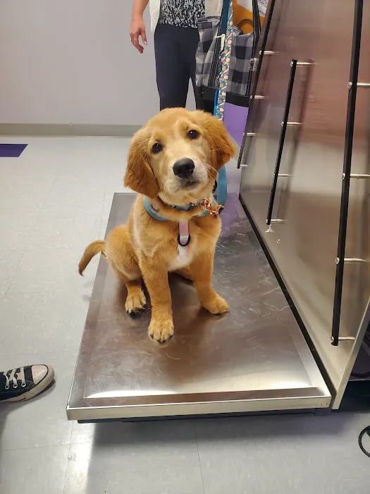 Slatersville Veterinary Clinic Picture 9