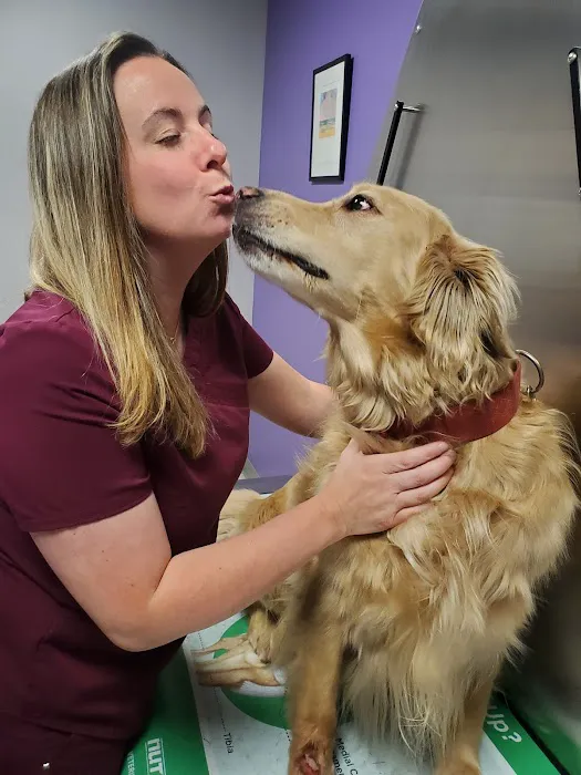 Slatersville Veterinary Clinic Picture 6