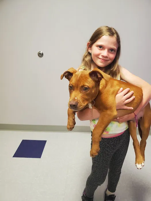 Slatersville Veterinary Clinic Picture 7