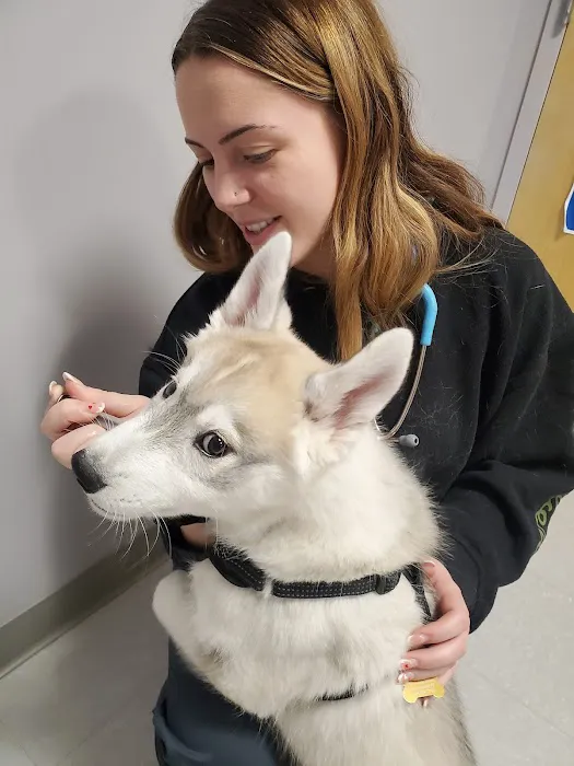 Slatersville Veterinary Clinic Picture 5