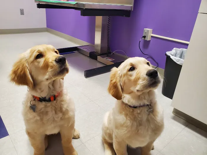 Slatersville Veterinary Clinic Picture 10
