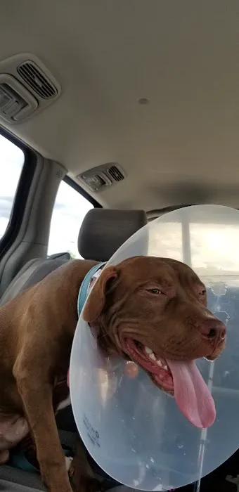 Banfield Pet Hospital Picture 2