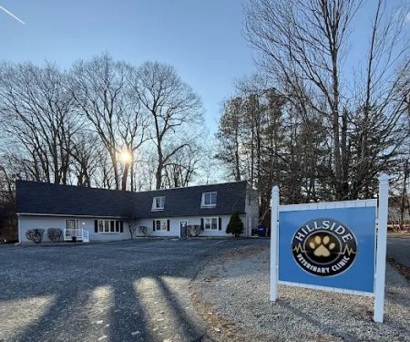 Hillside Veterinary Clinic – Auburn, MA | Central MA Vet Care