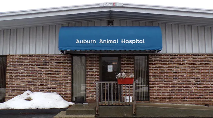 VCA Auburn Animal Hospital Picture 3