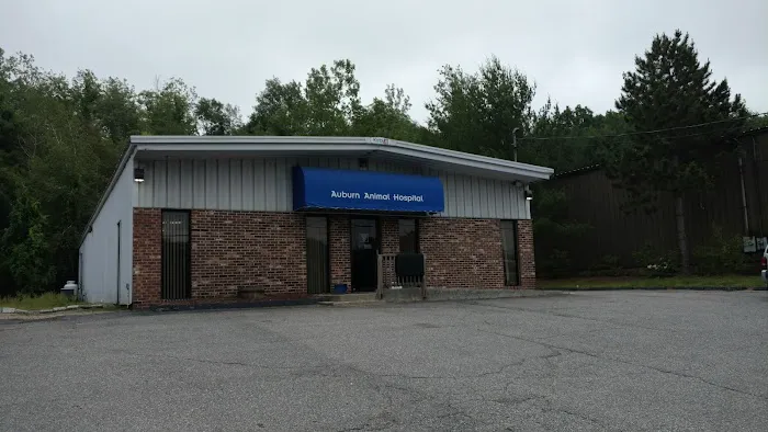 VCA Auburn Animal Hospital Picture 2