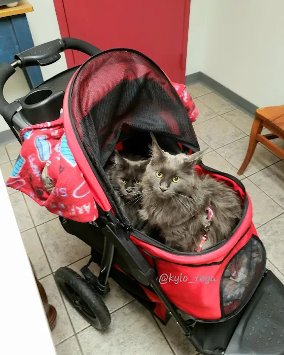 VCA Auburn Animal Hospital Picture 1