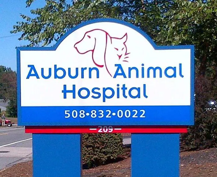 VCA Auburn Animal Hospital Picture 8