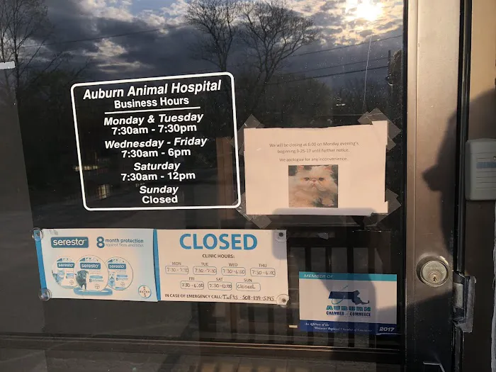 VCA Auburn Animal Hospital Picture 4