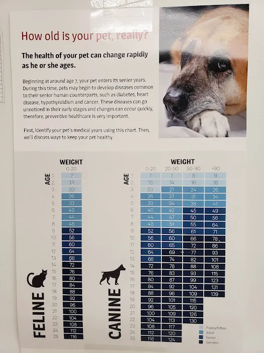 VCA Auburn Animal Hospital Picture 9